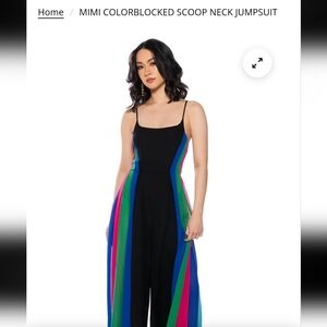AKIRA Multicolor Striped Jumpsuit